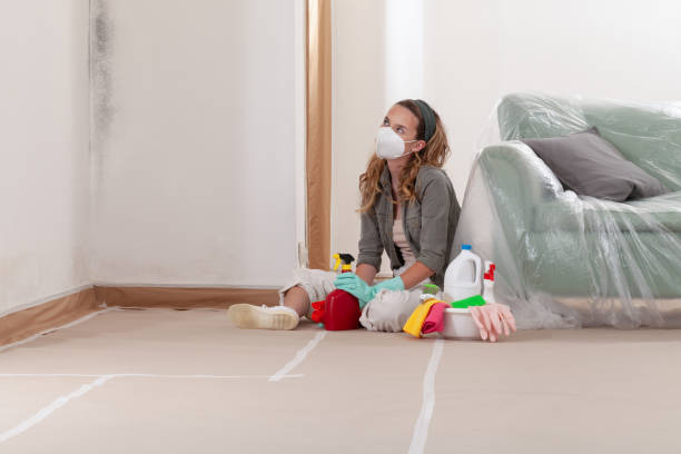 Reliable Mold Remediation contractor in Souderton, PA by WQB Mold Removal